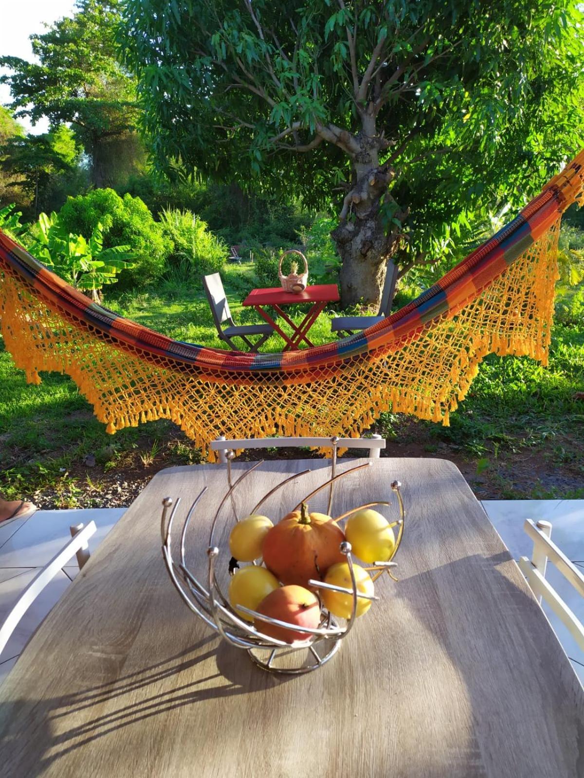 Les Gites Du Sud - O Naturel Gourbeyre ภายนอก รูปภาพ