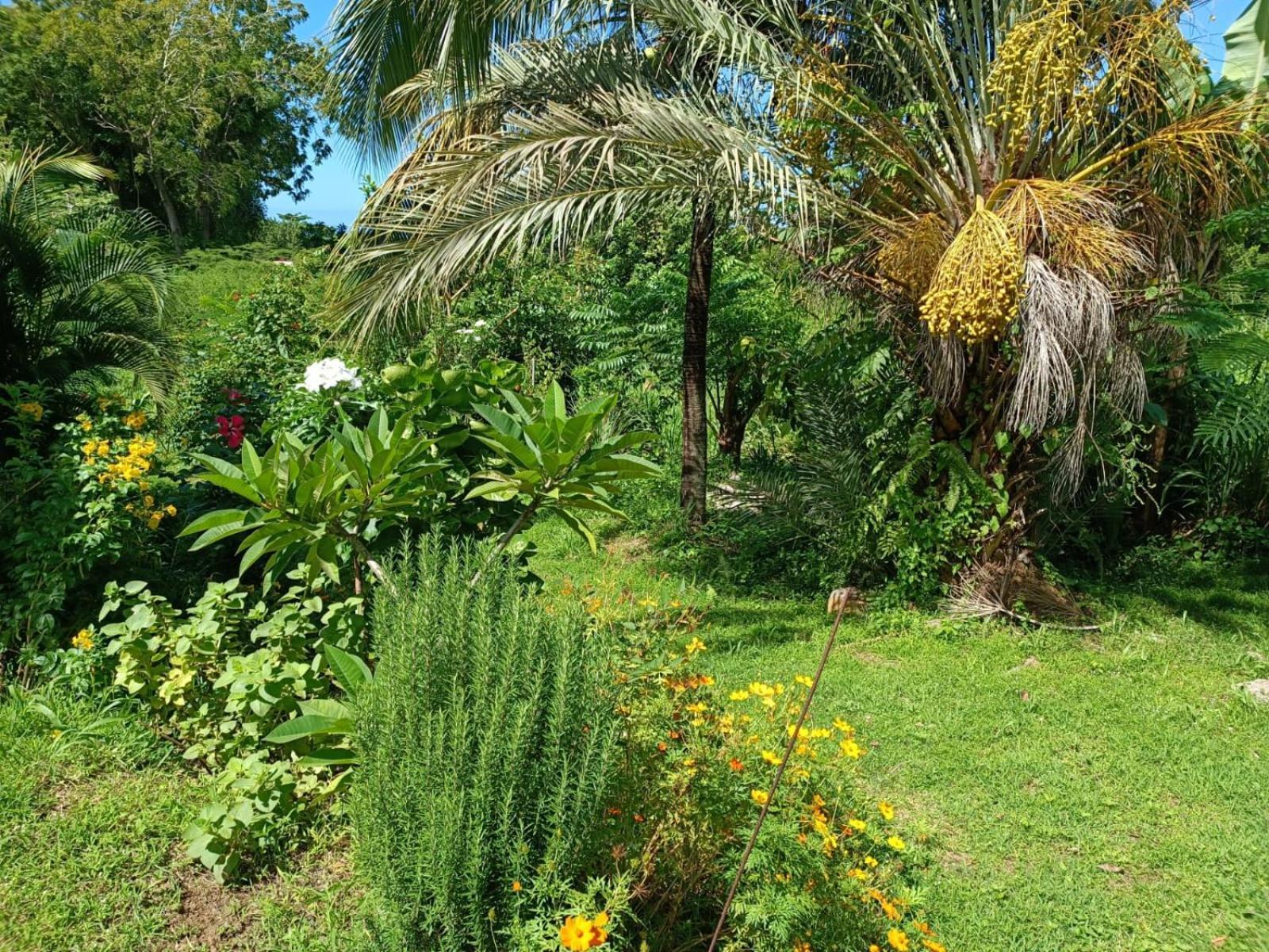 Les Gites Du Sud - O Naturel Gourbeyre ห้อง รูปภาพ