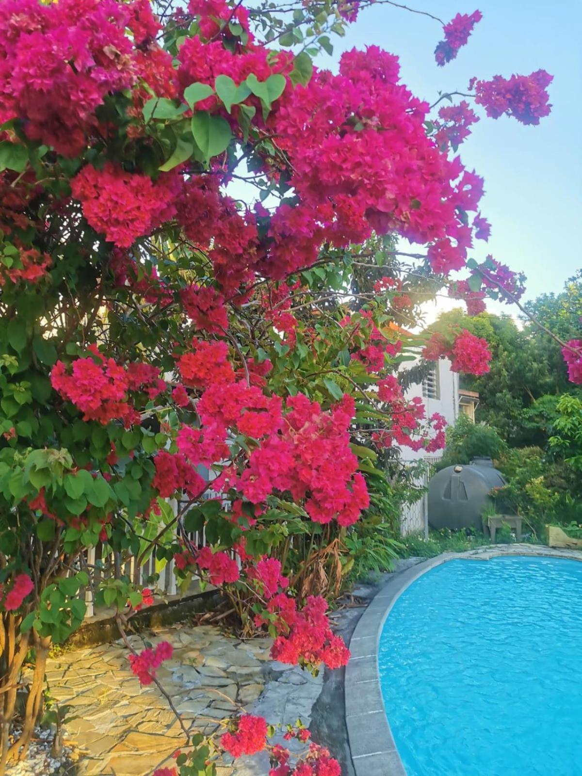 Les Gites Du Sud - O Naturel Gourbeyre ภายนอก รูปภาพ